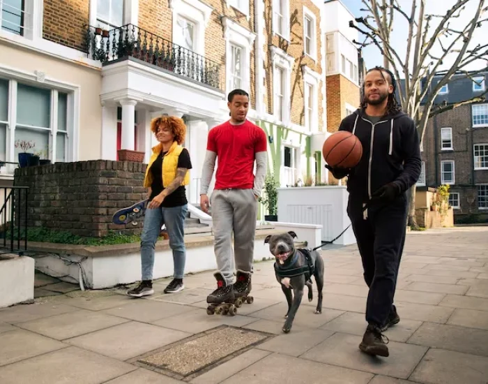 Liverpool Celebrity Pet Ground Transport