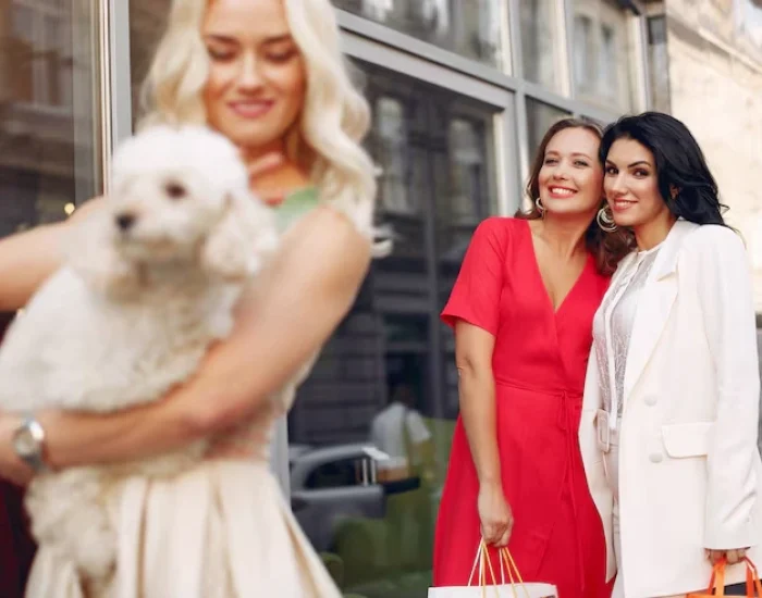 Liverpool VIP Pet Courier for Privacy-Focused Clie