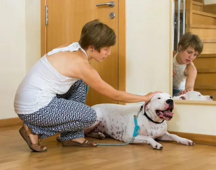 Local Liverpool Collection and Transport to Departure Airport