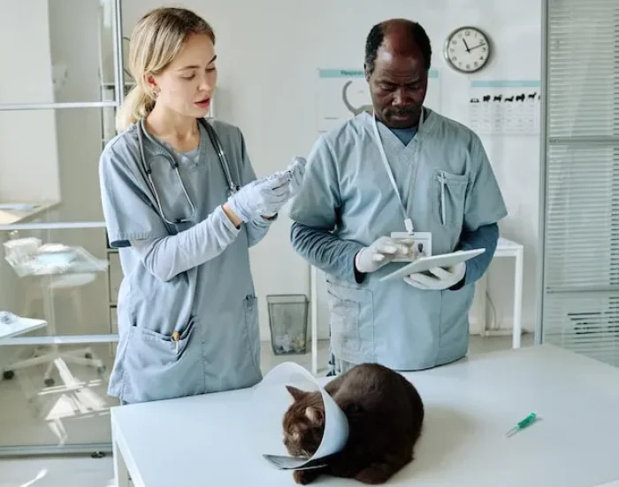 Local UK Transport to Your Home