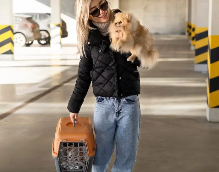 Luxury Dog Relocation Services in Qatar (5)