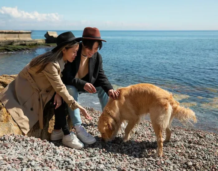 Microchip & Vaccination Compliance Review