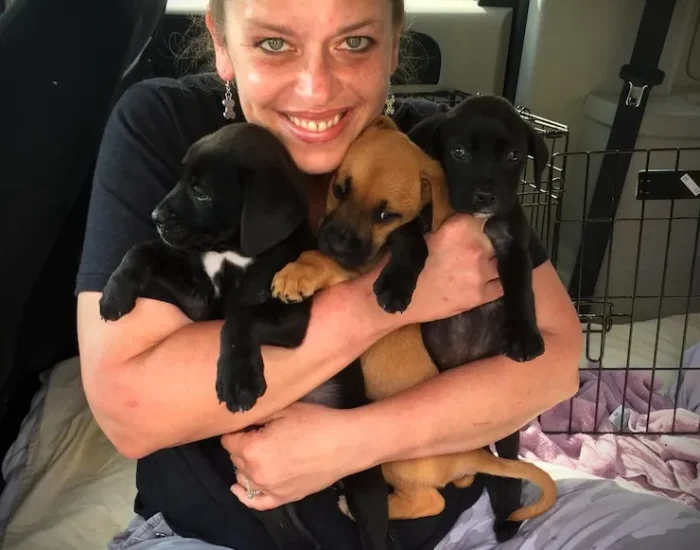 Montreal Arrival Coordination and Customs Clearance​