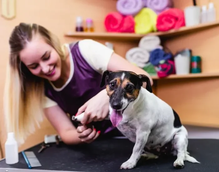 Move Planning And Owner Guidance