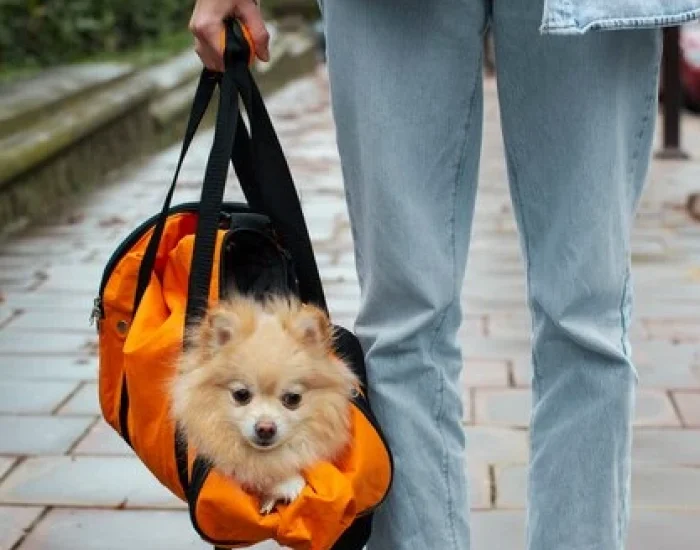 Multi-Pet & Specialist Breed Coordinationj