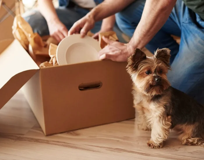 Multi-Pet and Corporate Relocation Supportv