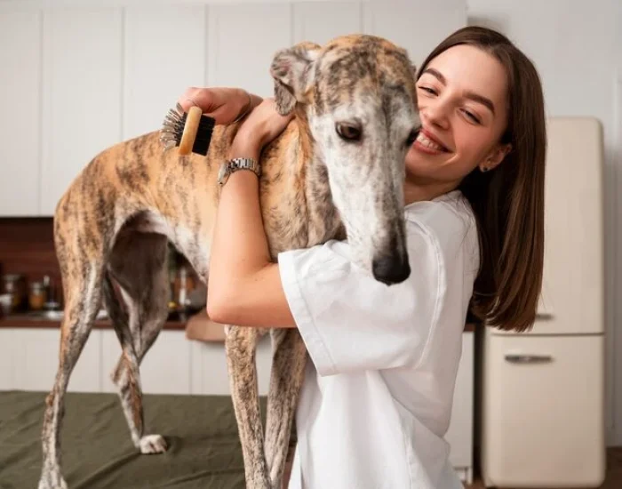 Multi-Pet and Family Group Transport