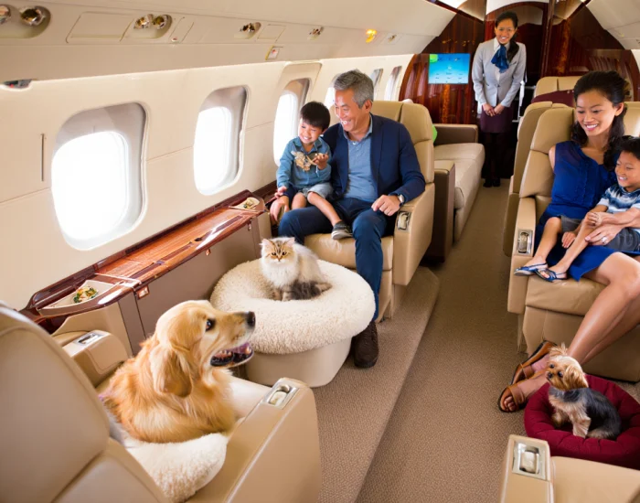 Multi-Pet and Family Transfers