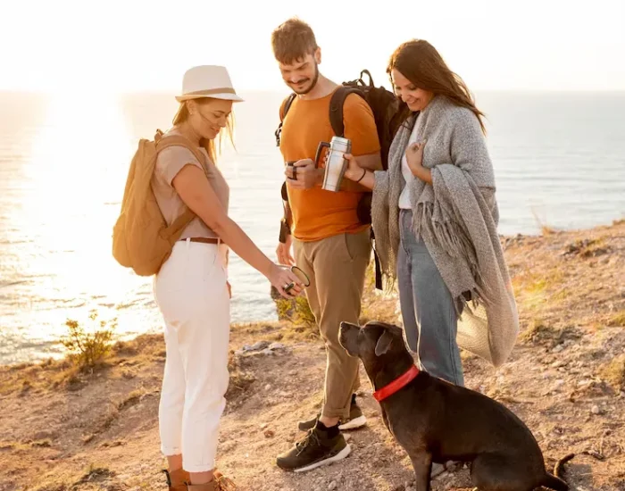 Multi-Pet and Family Travel Planningf