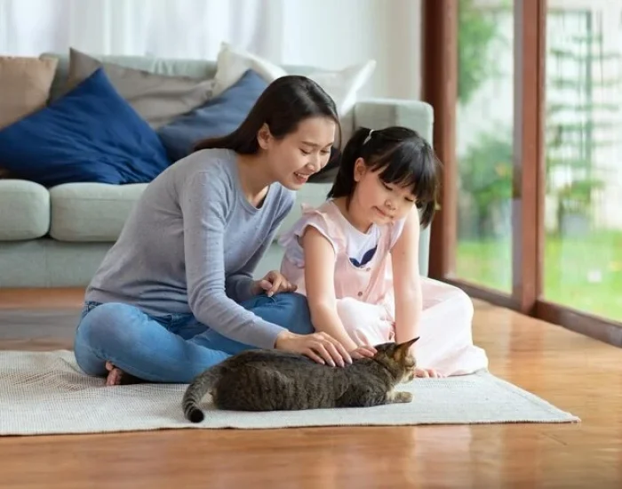 Oman Export Clearance and Regulatory Handling