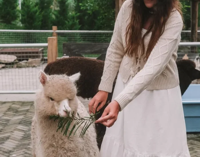 Ongoing Advisory and Compliance Support