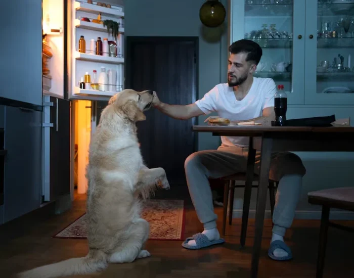 Operational Strength for pets