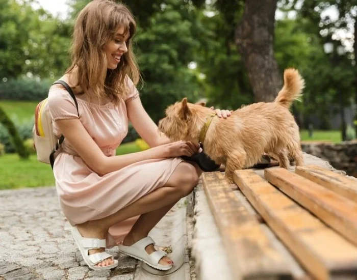 Operational Strength