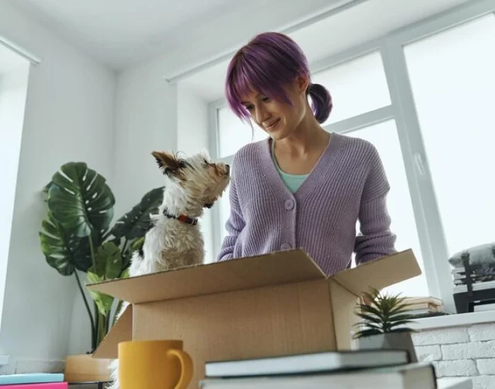 Our Expertise in High-Value Pet Relocation