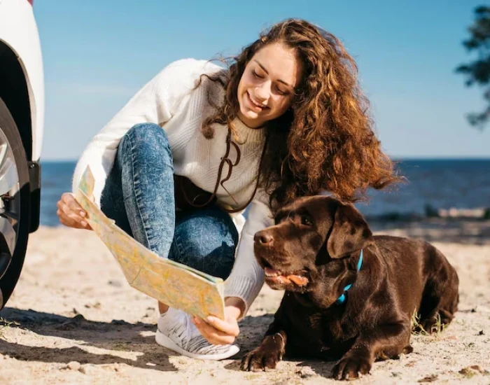 Our Expertise in Numbers