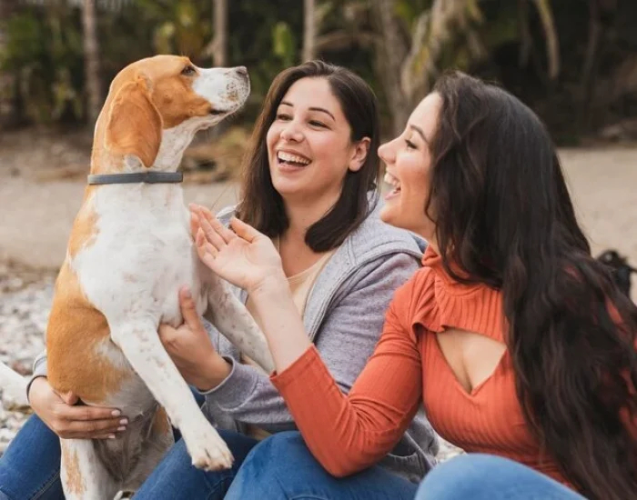 Our Expertise in india pets
