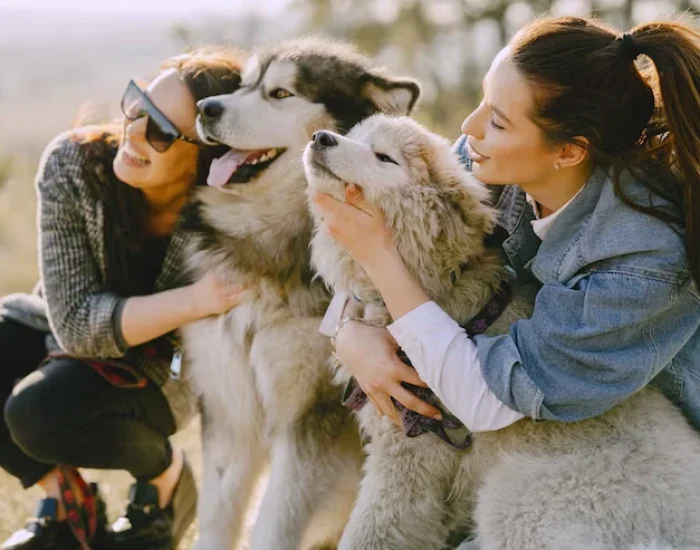 Multi-Pet and Family Relocation Handling