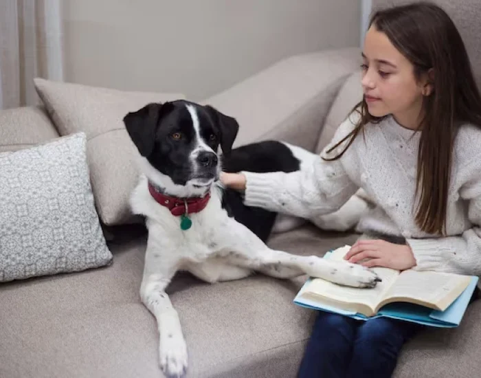 Customs Clearance and Arrival Handling