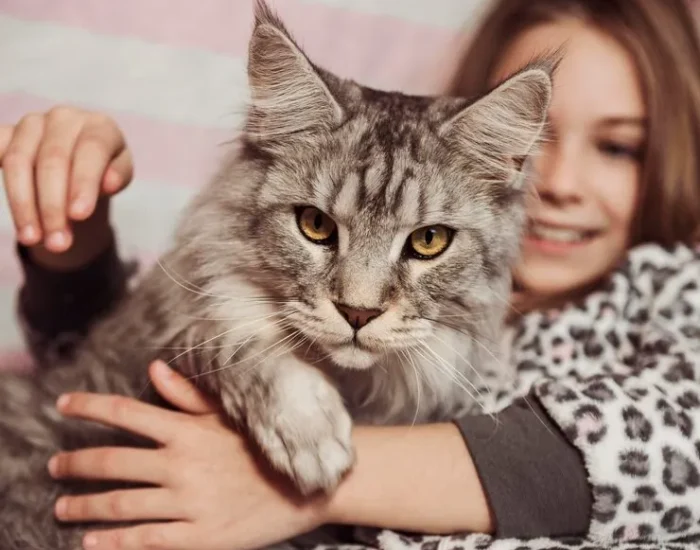 Owner Communication and Journey Oversight