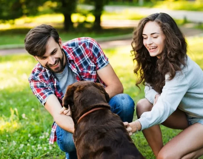 Owner Communication and Updates