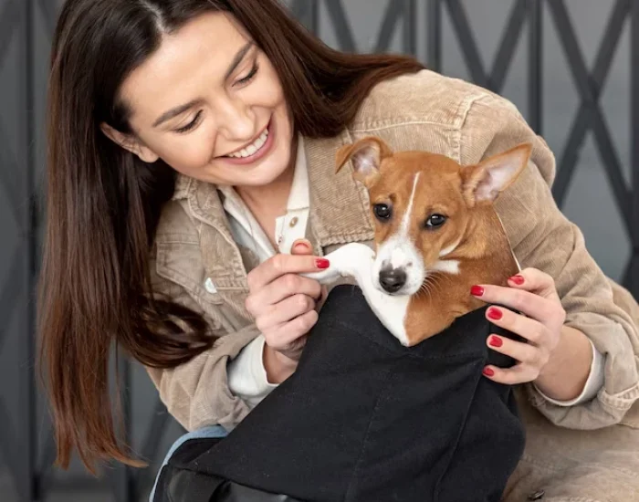 Pet Air Travel Coordinationh