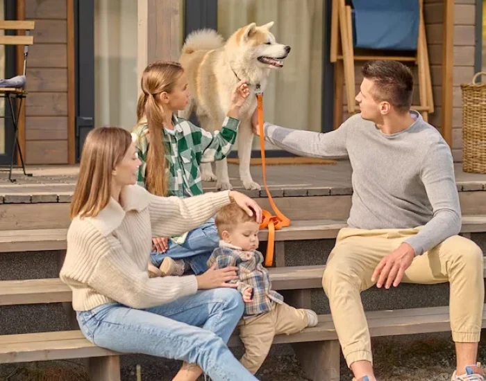 Pet Boarding and Temporary Housing