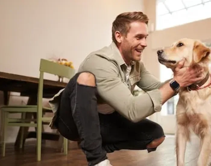 Pet Collection And Final Mile Transport