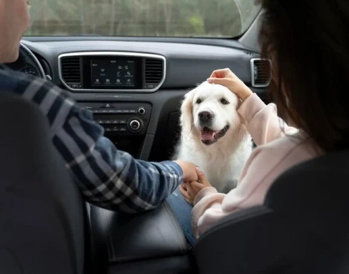 Pet Collection, Transit & Delivery Logisticsd