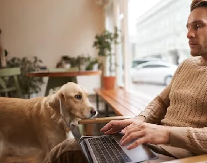 Pet Comfort and Safety Planninglo