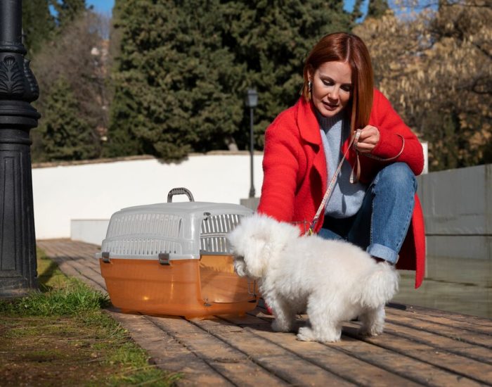 Why Pets Lets Travel is Your Premier Choice for Pet Transportation