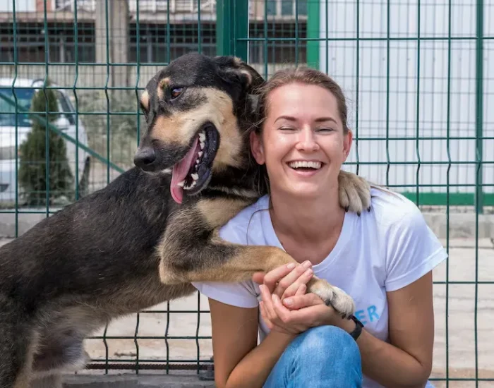 Pet Courier for Rescues and Charitiesgp