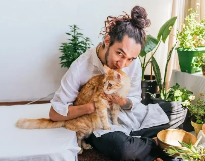 Pet Crate Supply and Preparation​