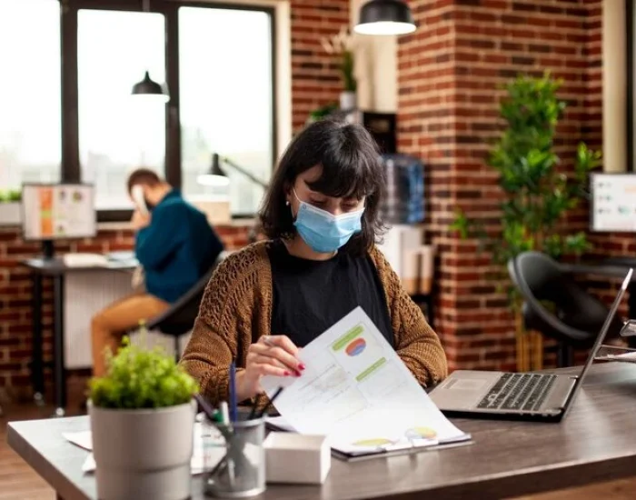 Pet Export Paperwork and Compliancem