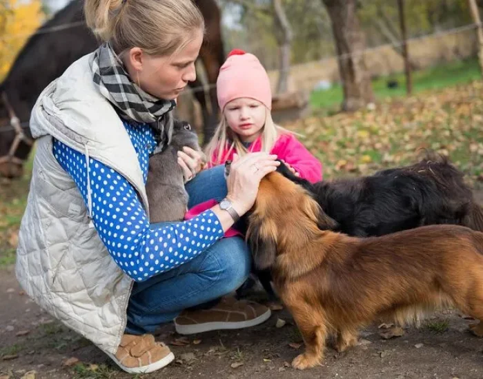 Pet Flight Arrangements
