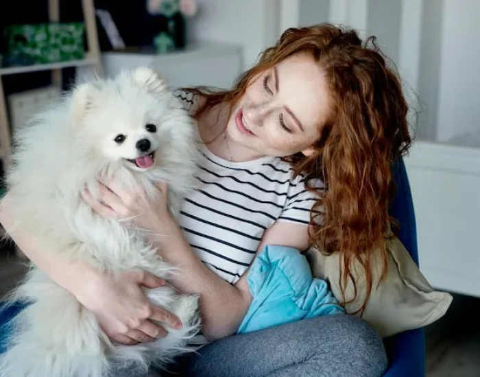 Pet-Friendly Summer Activities