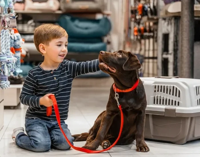 Pet Import Coordination