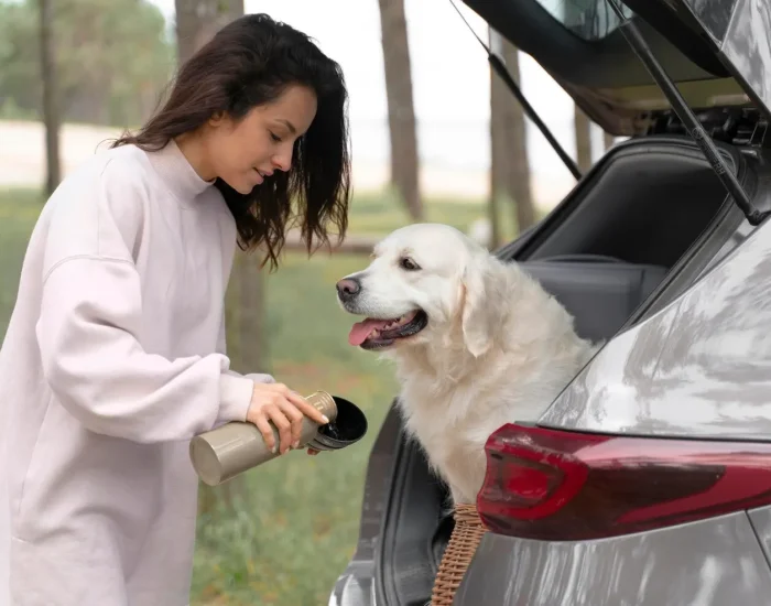 Pet Import and Export Compliance Assistanceh