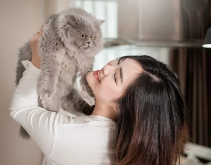 Pet Lifestyle Management & Daily Assistance