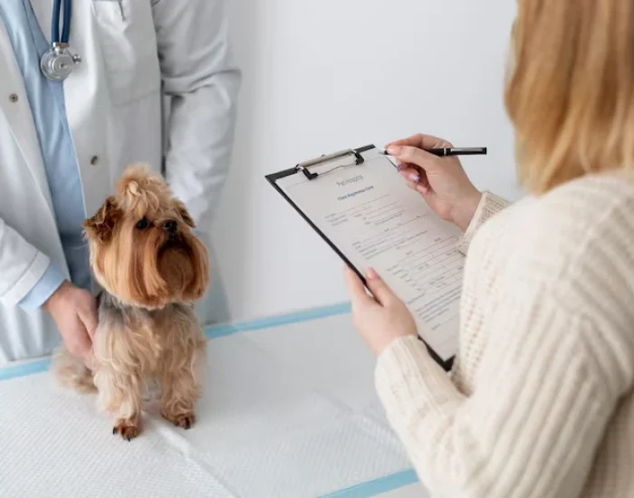 Pet Microchipping and Travel Documentation off pets