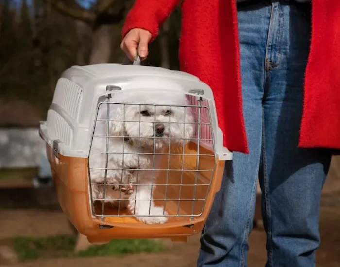 Pet Quarantine Oversight (If Required)