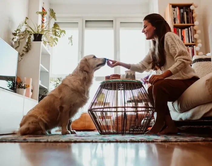 Pet Quarantine Support