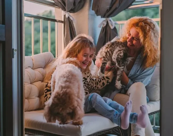 Pet Relocation Within the UK​