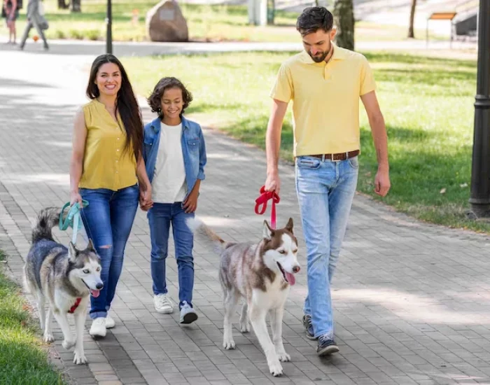 Pet Relocation for Familiesgy