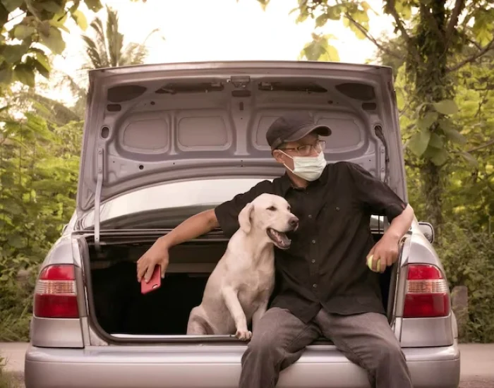 Pet Transport Services From the UK to Cleveland (1)