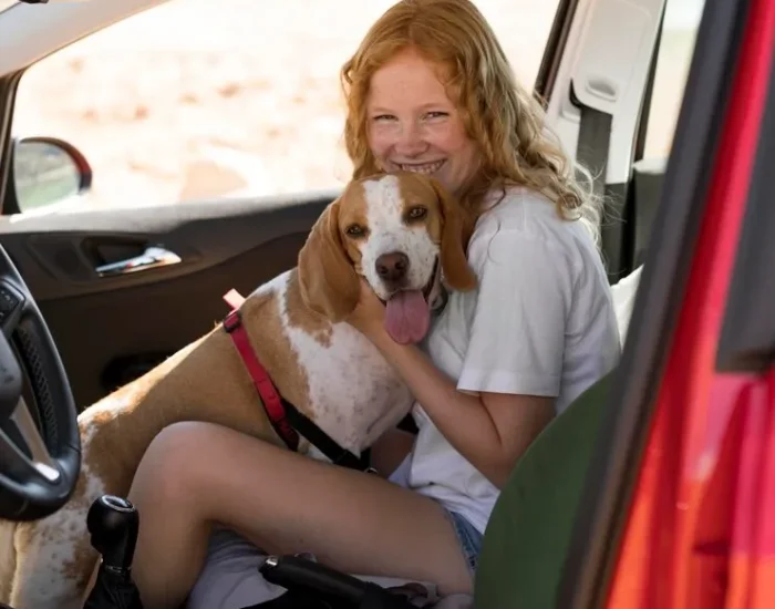 Pet Travel Compliance Review