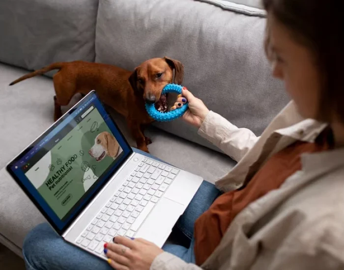 Pet Travel Compliance Review and Case Assessment