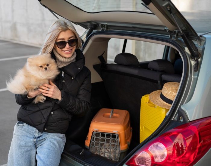 Customised Journey: Your Pet’s Comfort Our Priority