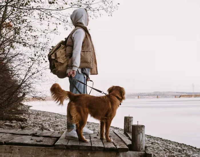 Pet Travel Consultation & Route Planning (2)