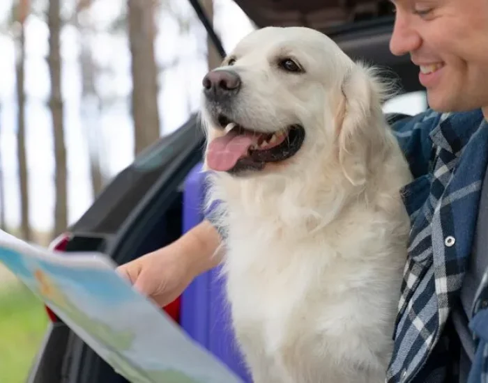 Pet Travel Consultation and Planning