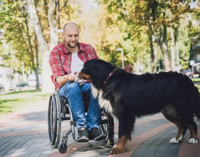 Pet Travel Documentation Management